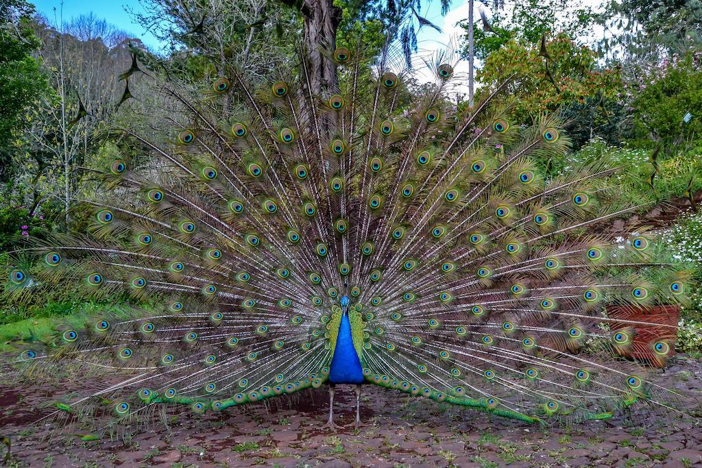 Valle Paraizo Camacha Kültér fotó